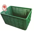 Basket Industry APPEALED a big Holey green 06 1